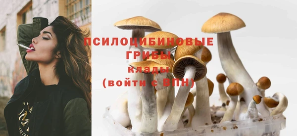 СК Алексин