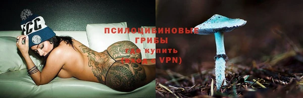 СК Алексин