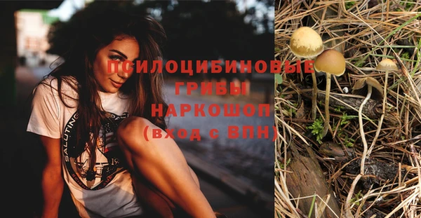 герыч Алзамай