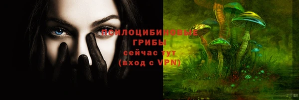 амф Алексеевка
