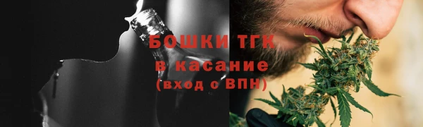 СК Алексин