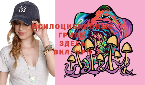 амф Алексеевка