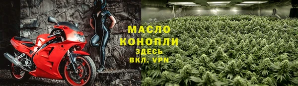 СК Алексин