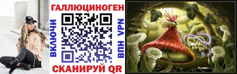 OMG   Пролетарск  Галлюциногенные грибы мухоморы 